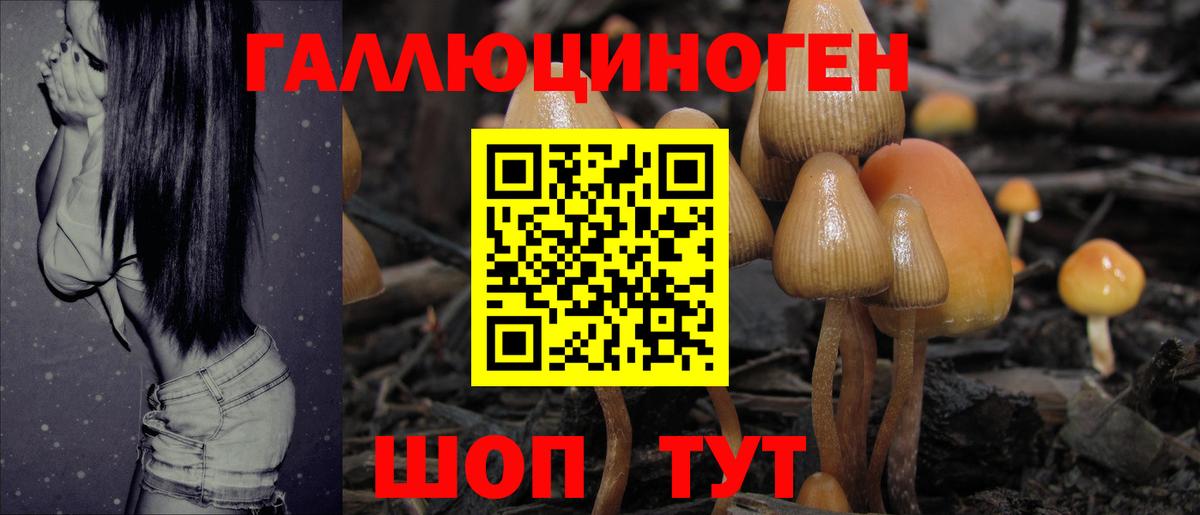 Галлюциногенные грибы мухоморы Назрань