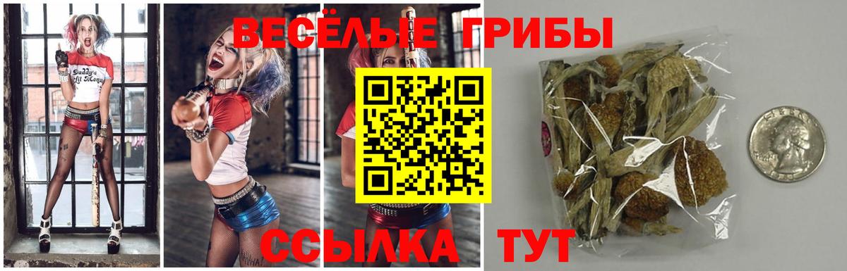 Назрань  Галлюциногенные грибы прущие грибы  Вход с VPN 